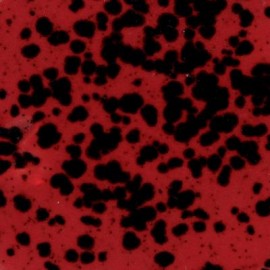 Ladybug - 4oz. Jungle Gem Crystal Glaze